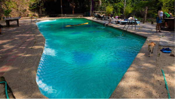 游泳池投資要多少錢？一套泳池設備貴嗎